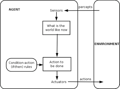 Agent Structure and Characteristics